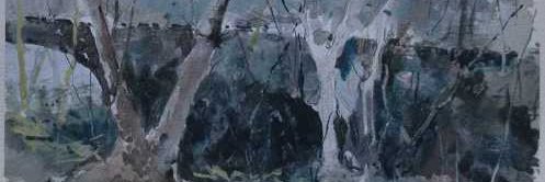 Carlos Madeira banner