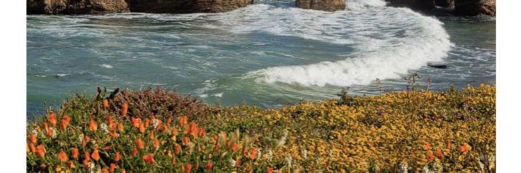 lauraecruz1's profile banner image