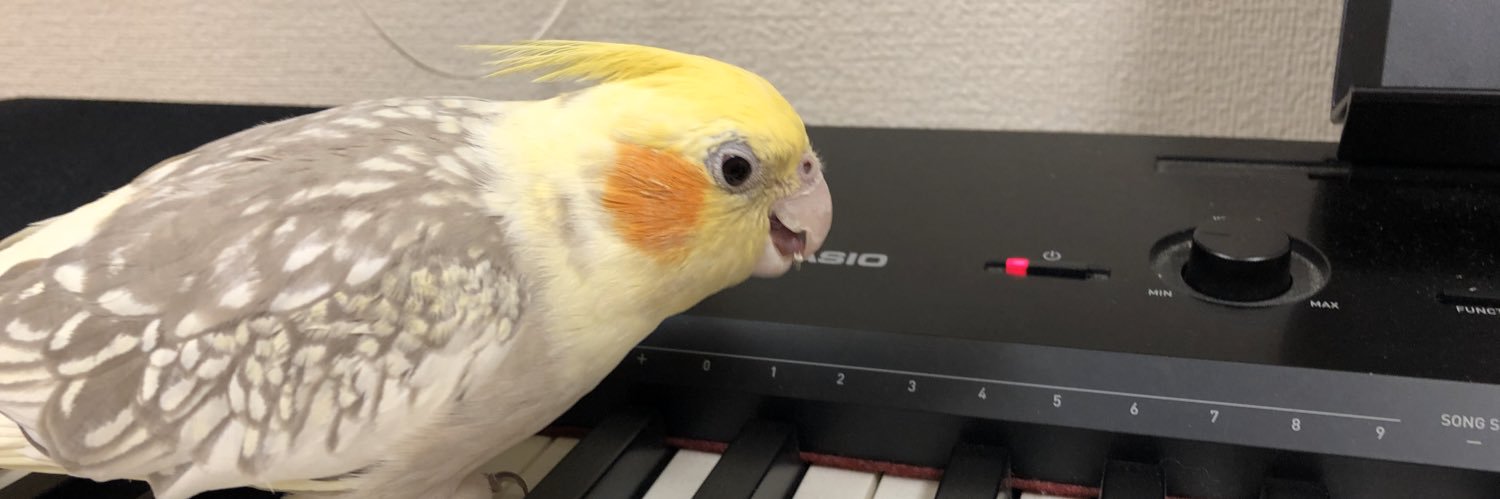 chunkpizza's profile banner image