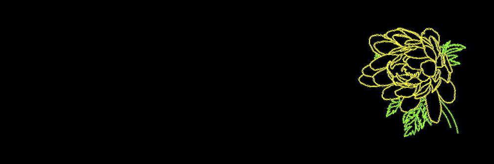 rune_neko's profile banner image