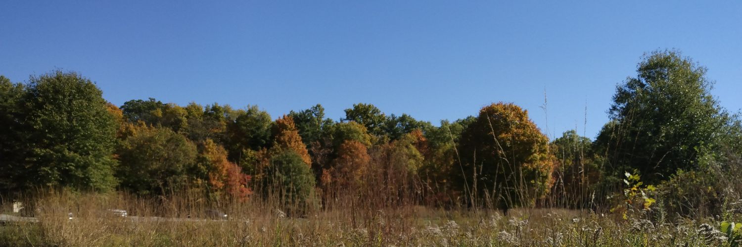 agiardin2's profile banner image
