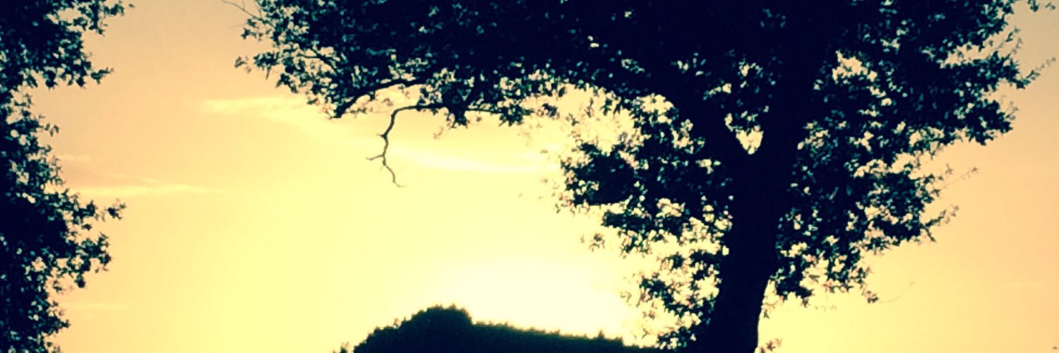 la_seta76's profile banner image