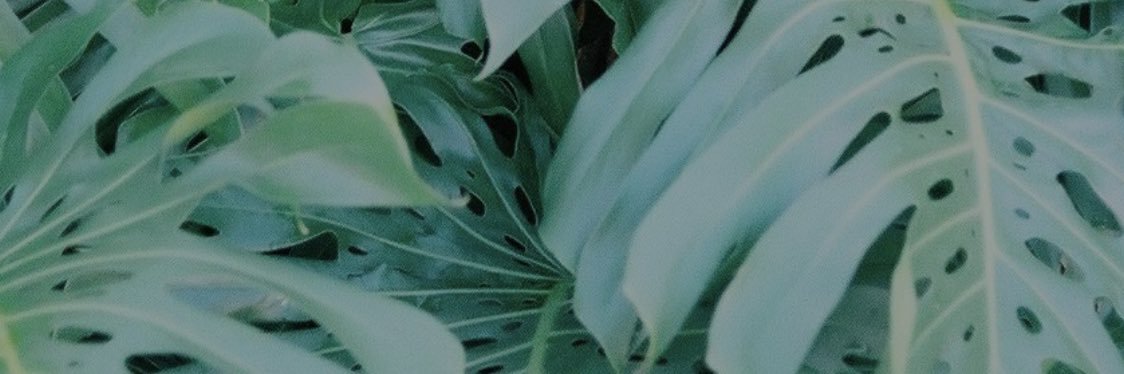 keaumiki🦈 banner