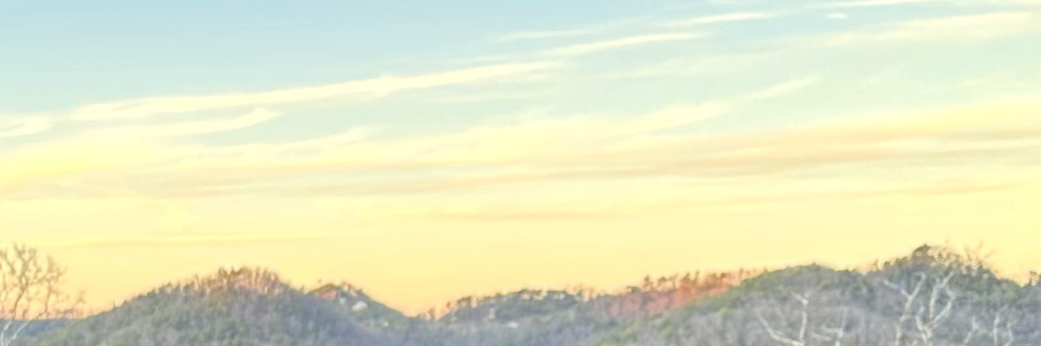 LindseeTierra's profile banner image