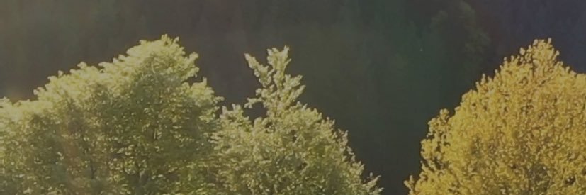 siawkrub's profile banner image