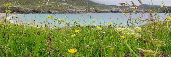 robyn_hebrides Profile Banner