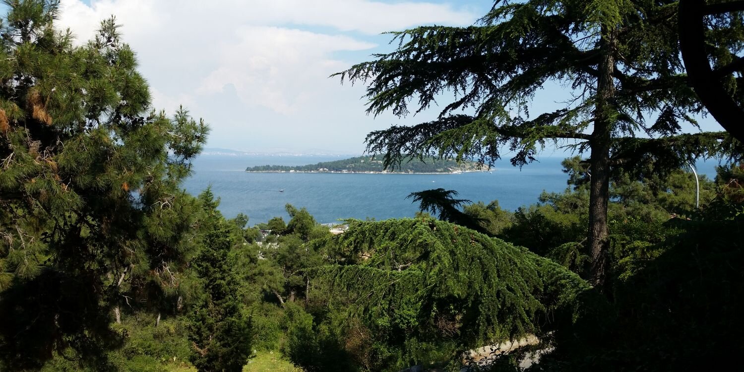 özcan demirkol banner