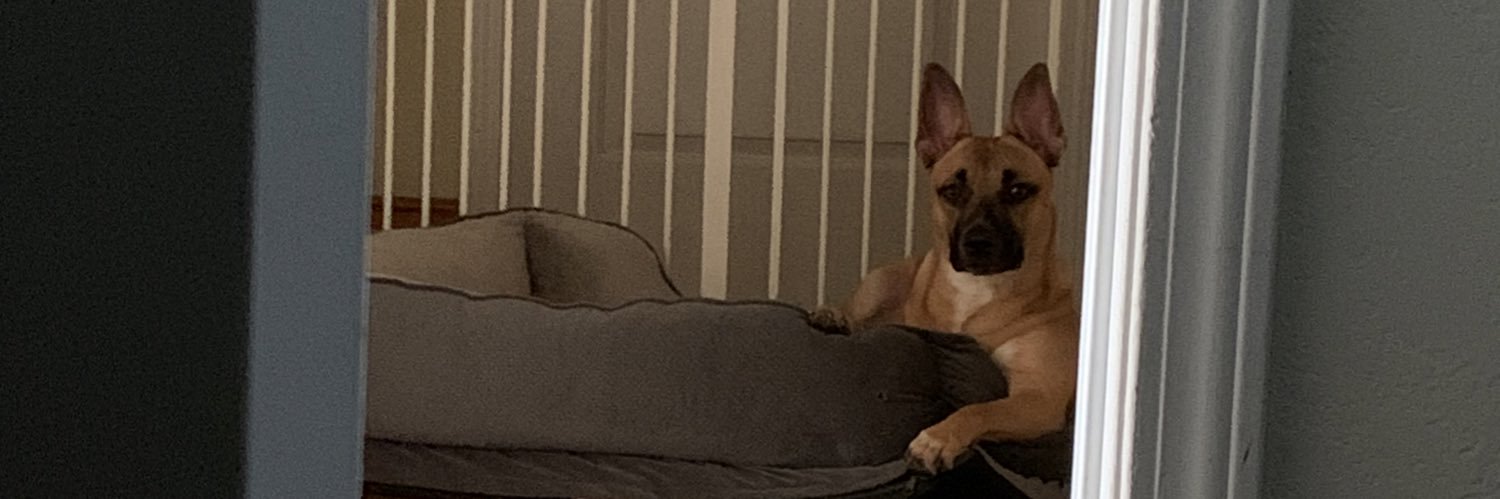 hahahlex's profile banner image
