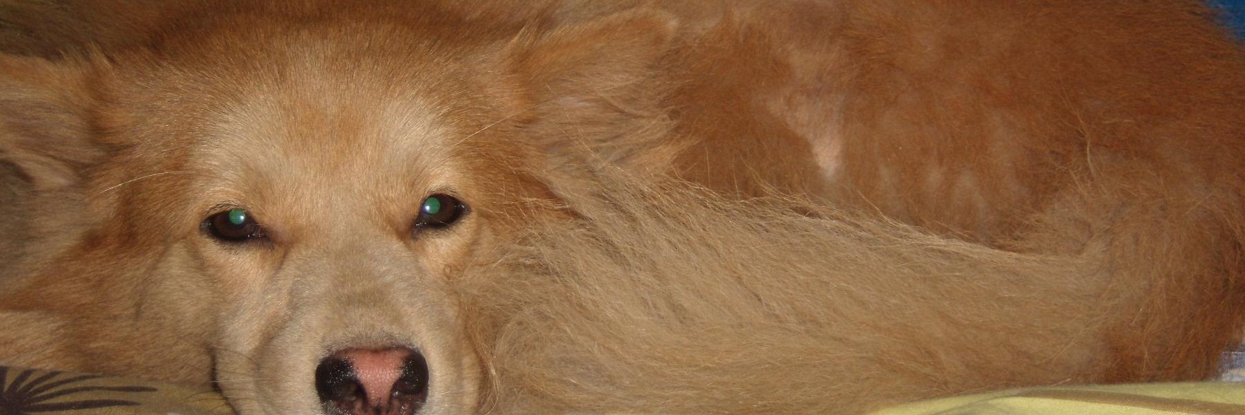 jaydeeako's profile banner image