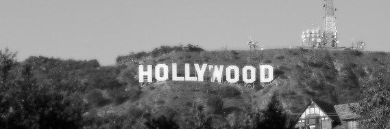 Hollywood Higgins banner