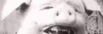 TrapsTips's profile banner image