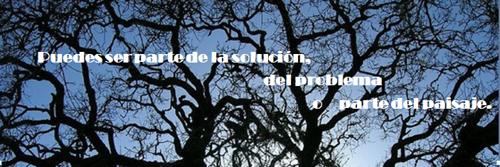 LidiaHCuenca's profile banner image