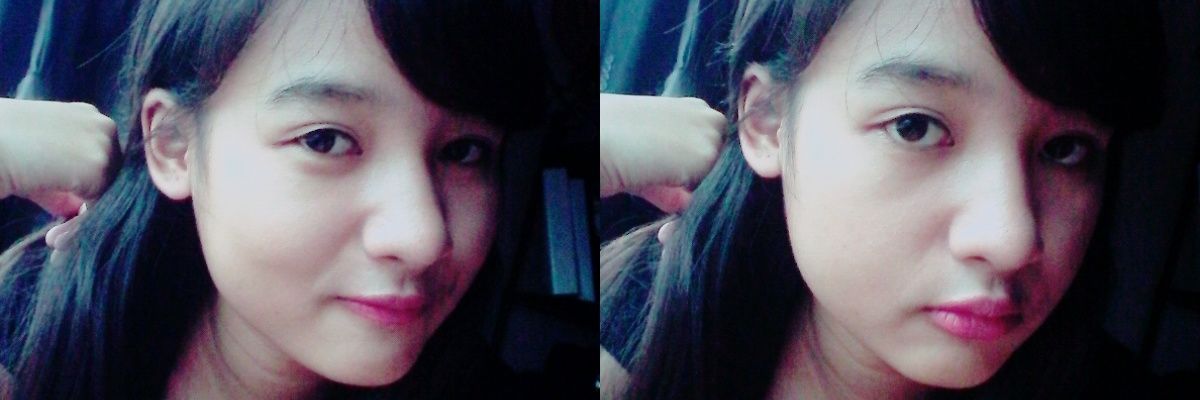 PinnaMoo's profile banner image