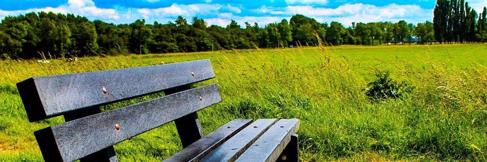 Maarten van Wijk banner