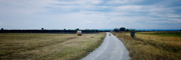 simonsprott Profile Banner