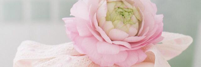 القادم اجمل banner