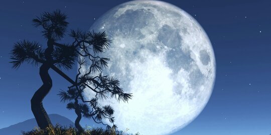 Anaraida26's profile banner image