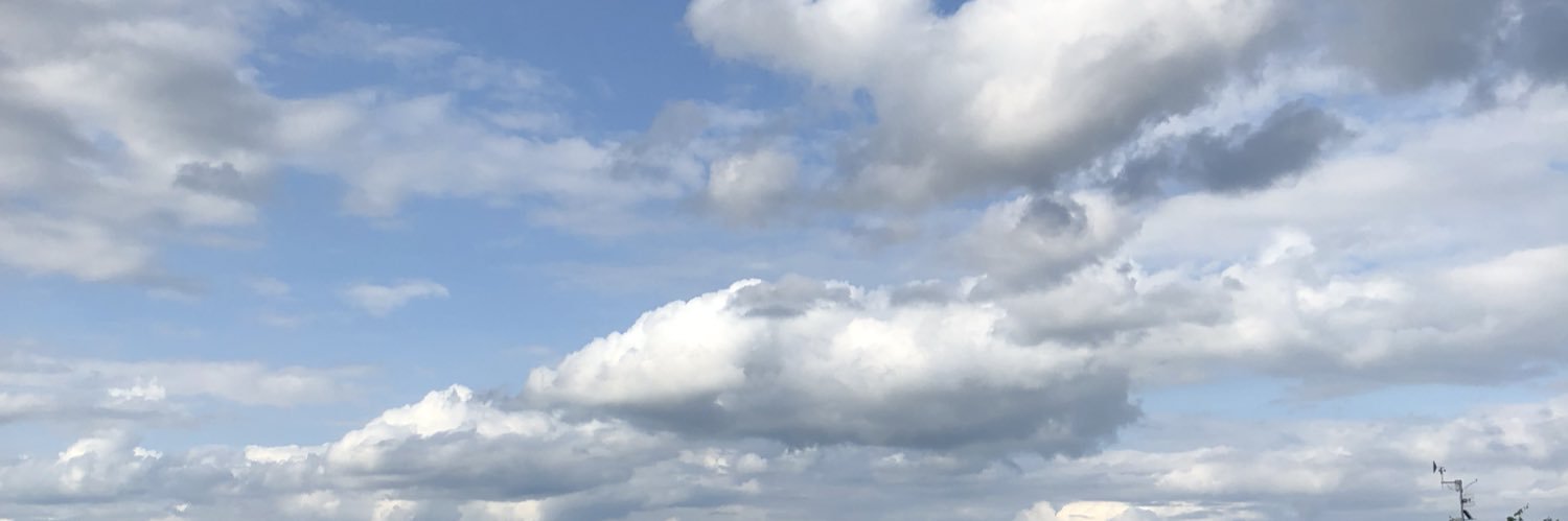 Lauren Danner banner