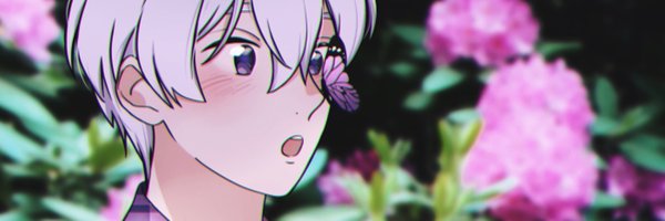 alto Profile Banner