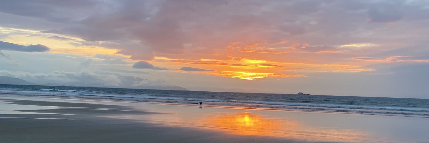 Chlo_Fitz15's profile banner image