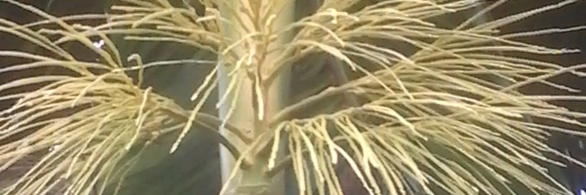 pramodanayak1's profile banner image