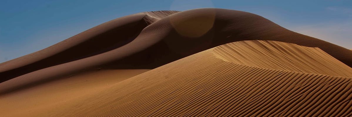 palacios_fer's profile banner image