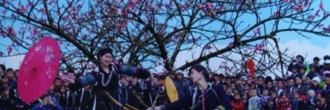 CoxQuang's profile banner image
