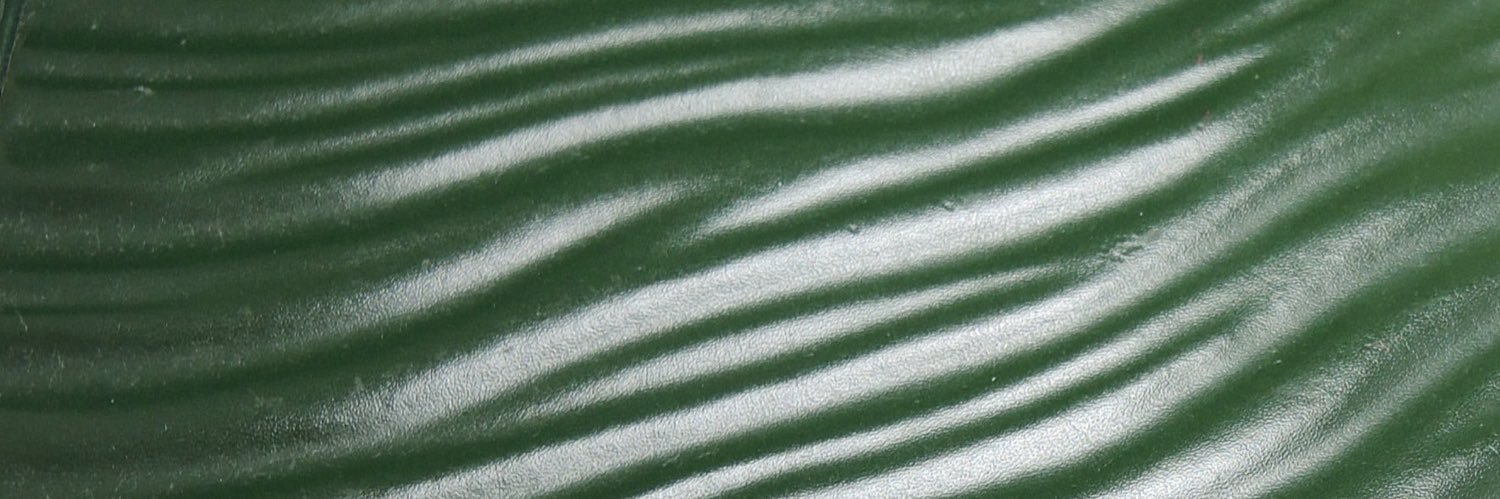trascendency's profile banner image