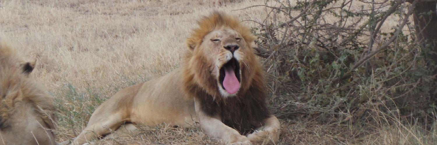 abdukabli's profile banner image
