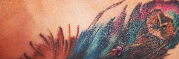 AaKooFOTM's profile banner image