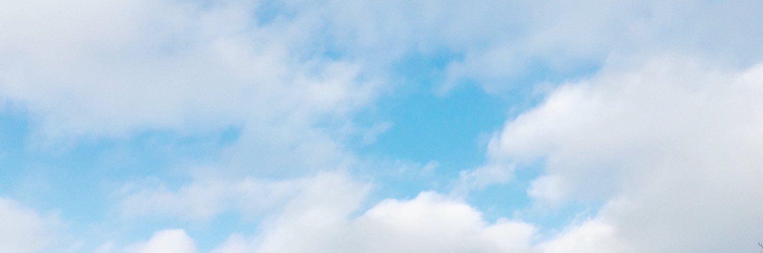 Sesesegi's profile banner image