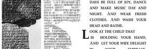 AnonOpAcc's profile banner image