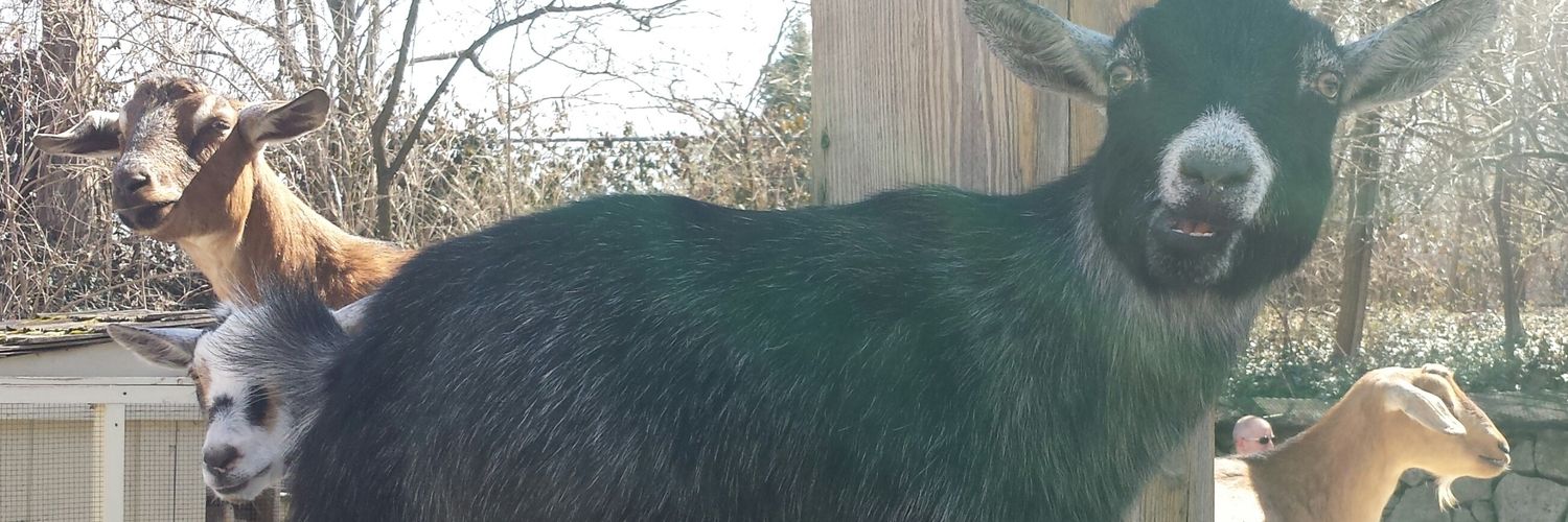 ChupacabraSays's profile banner image