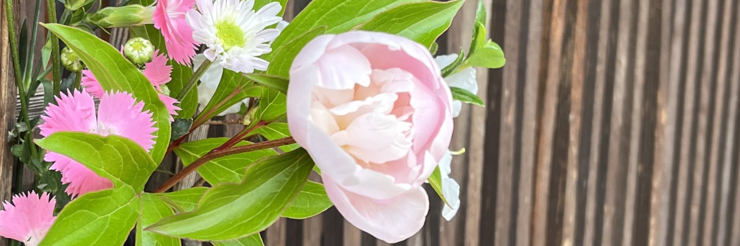 _alcea's profile banner image