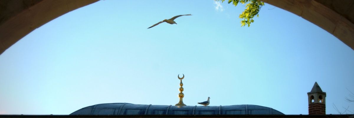 umderler's profile banner image