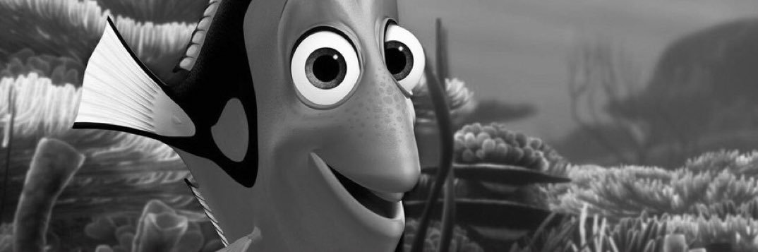 dorisaurusrex's profile banner image