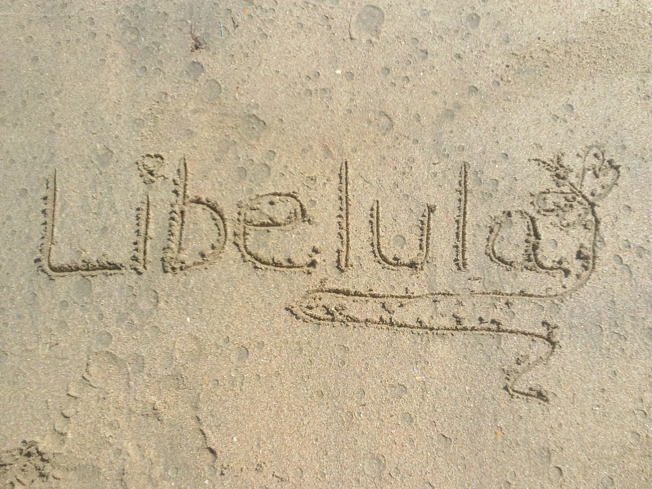 libertadramirez's profile banner image
