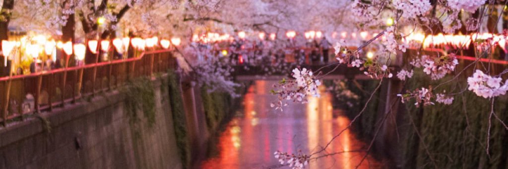 BoxingUeki's profile banner image
