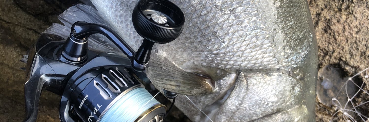 1battlefishing's profile banner image