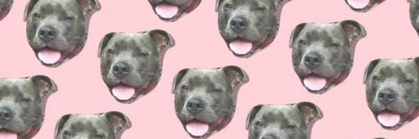 lnkcasey's profile banner image