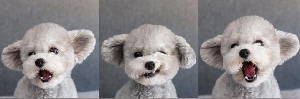 janniiladyx's profile banner image