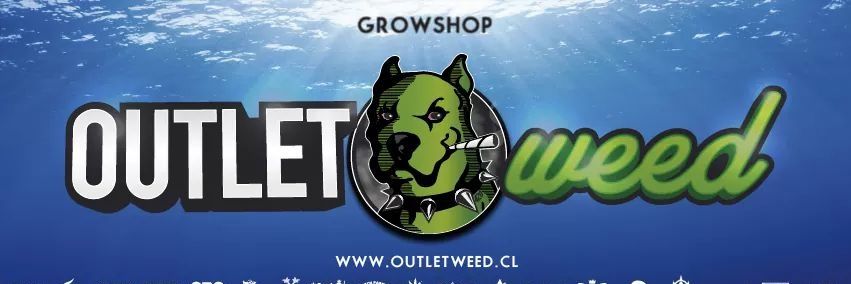 OUTLETweed's profile banner image