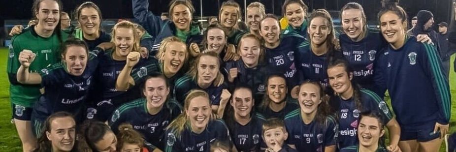 Foxrock-Cabinteely GAA banner