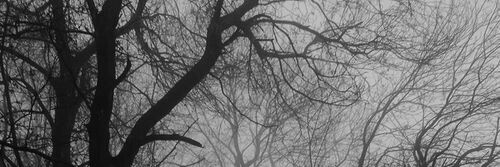 jokasess's profile banner image