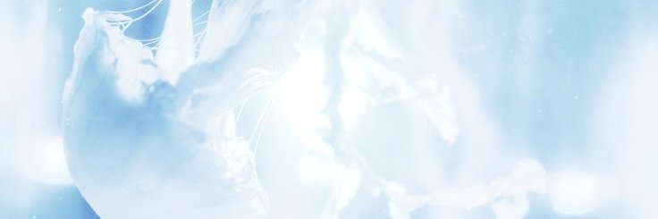 parfaby's profile banner image