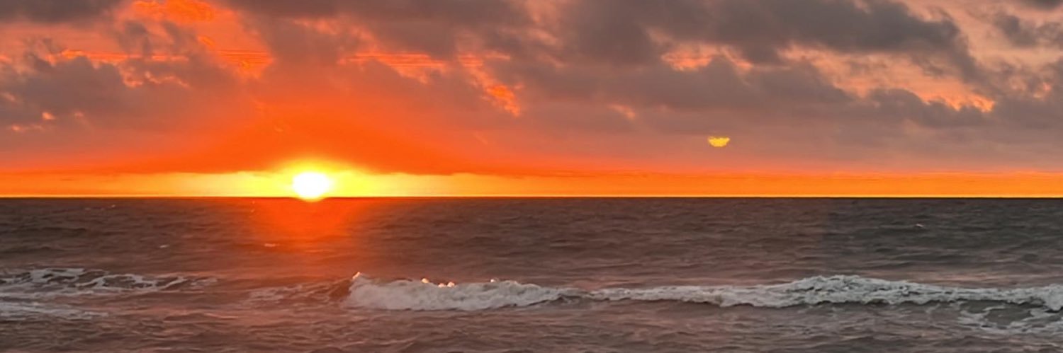 bunnellcarrisa's profile banner image