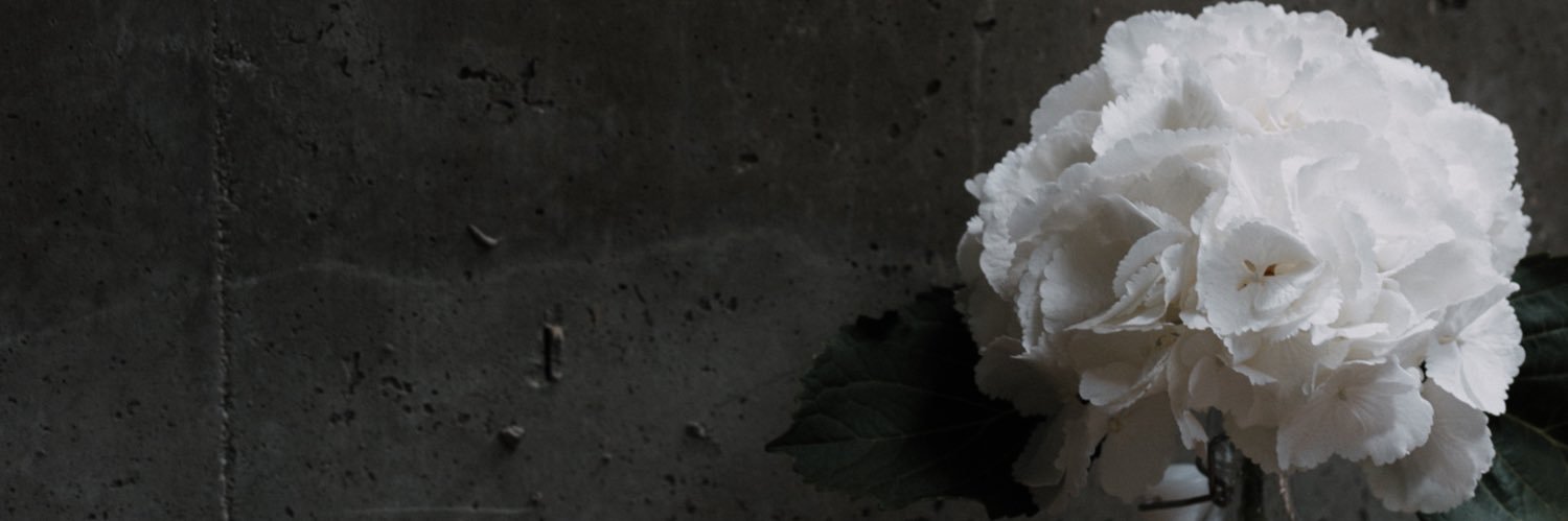 noopdeezy's profile banner image