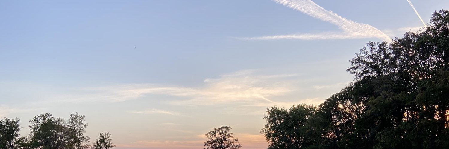 zozoexox's profile banner image