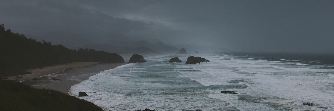 ToriePadget's profile banner image
