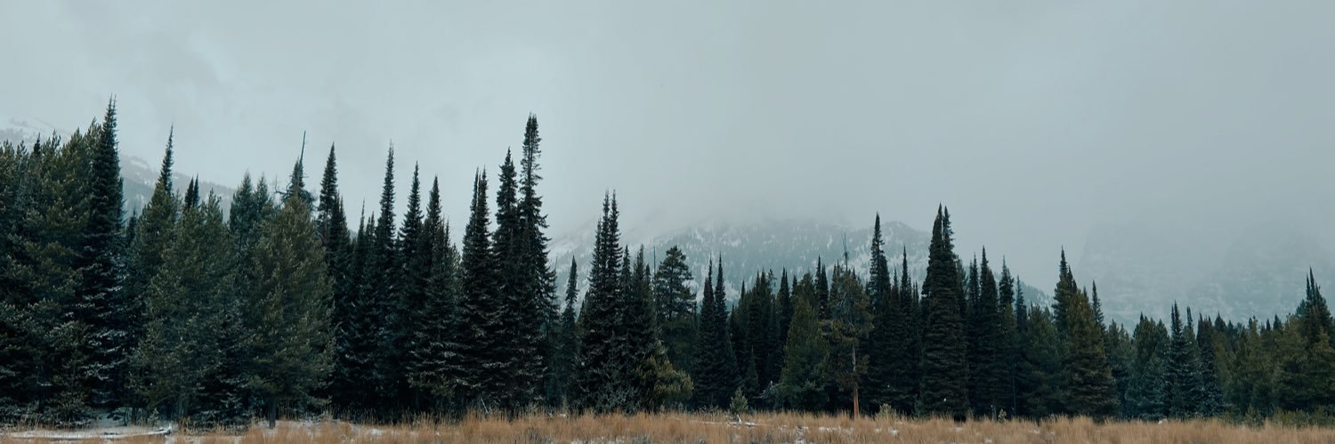 _madsmann_'s profile banner image